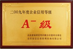 企業(yè)榮譽(yù)